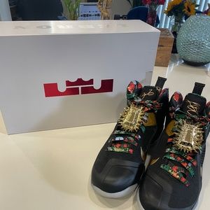 Brand New LeBron 9 Watch the Throne